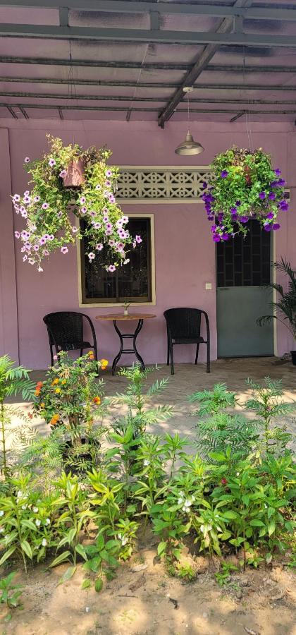 The Purple House Apartment Siem Reap Room photo
